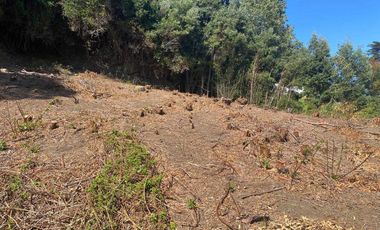 Parcela en venta en ARAUCO