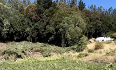 Parcela en venta en ARAUCO