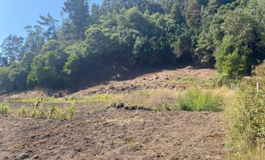 Parcela en venta en ARAUCO