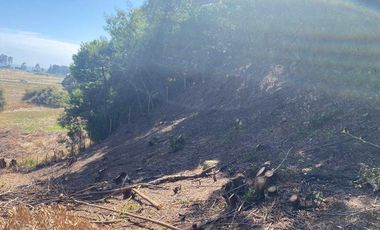 Parcela en venta en ARAUCO