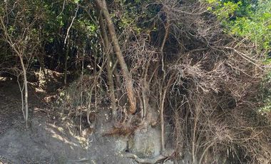 Parcela en venta en ARAUCO