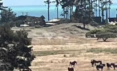 Parcela en venta en ARAUCO