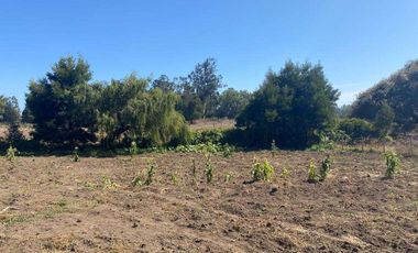 Parcela en venta en ARAUCO