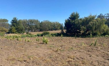 Parcela en venta en ARAUCO