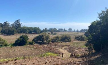 Parcela en venta en ARAUCO