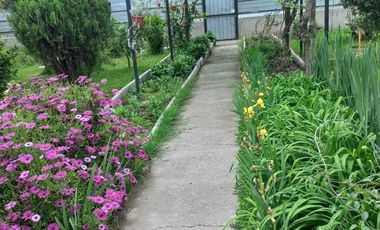 Casa en venta en COLTAUCO