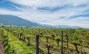 Exclusivo Terreno en Pircas de Apalta