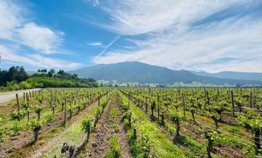 Exclusivo Terreno en Pircas de Apalta