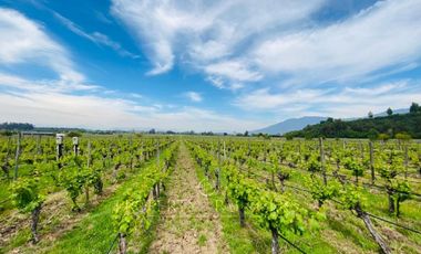 Exclusivo Terreno en Pircas de Apalta