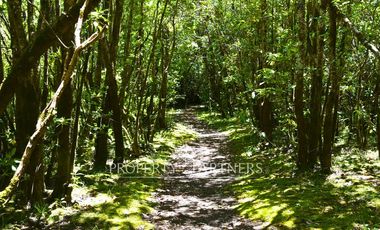 Espectacular casa a orillas del Lago Panguipulli