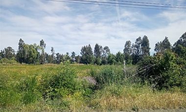 Parcela en Venta en Cruce el El Durazno con ruta 5 Sur