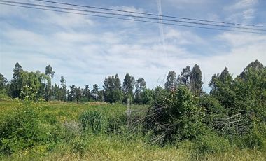 Parcela en Venta en Cruce el El Durazno con ruta 5 Sur