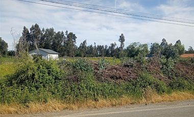 Parcela en Venta en Cruce el El Durazno con ruta 5 Sur