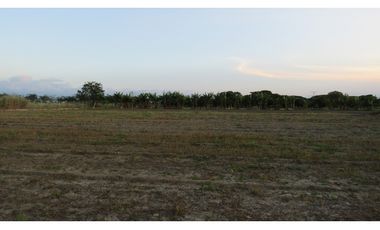 LOTE EN VENTA - VA AEROPUERTO ROZO - PALMIRA - REF: 7119149