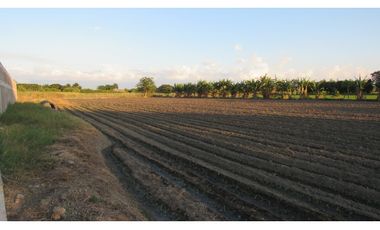 LOTE EN VENTA - VA AEROPUERTO ROZO - PALMIRA - REF: 7119149