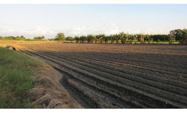 LOTE EN VENTA - VA AEROPUERTO ROZO - PALMIRA - REF: 7119149