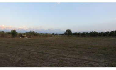 LOTE EN VENTA - VA AEROPUERTO ROZO - PALMIRA - REF: 7119149