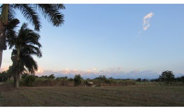 LOTE EN VENTA - VA AEROPUERTO ROZO - PALMIRA - REF: 7119149