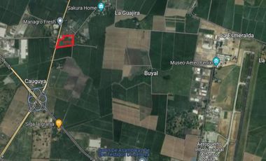 LOTE EN VENTA - VA AEROPUERTO ROZO - PALMIRA - REF: 7119149