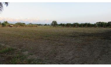 LOTE EN VENTA - VA AEROPUERTO ROZO - PALMIRA - REF: 7119149