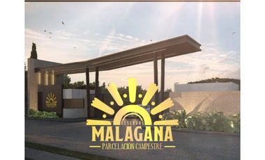 LOTE EN VENTA - EL BOLO PARC. MALAGANA - PALMIRA REF 9629909