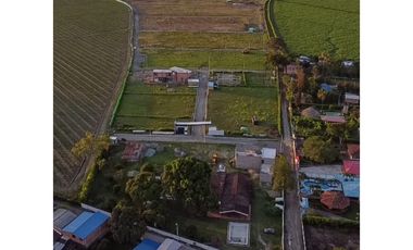 LOTE EN VENTA - EL BOLO PARC. MALAGANA - PALMIRA REF 9629909