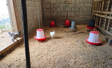 VENTA TERRENO AGRICOLA, OYAMBARILLO / MGA