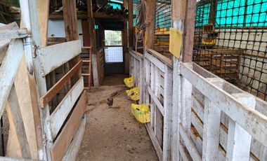 VENTA TERRENO AGRICOLA, OYAMBARILLO / MGA