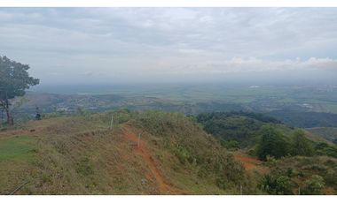 LOTES EN VENTA -  LA BUITRERA - PALMIRA REF: 9360181