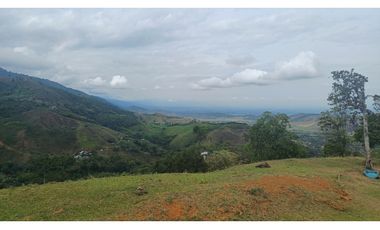 LOTES EN VENTA -  LA BUITRERA - PALMIRA REF: 9360181