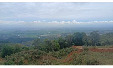 LOTES EN VENTA -  LA BUITRERA - PALMIRA REF: 9360181