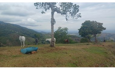 LOTES EN VENTA -  LA BUITRERA - PALMIRA REF: 9360181