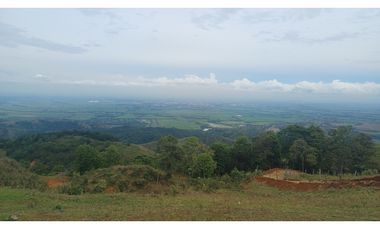 LOTES EN VENTA -  LA BUITRERA - PALMIRA REF: 9360181