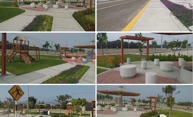 Venta De Terreno En La Planicie De Cañete Iii Etapa