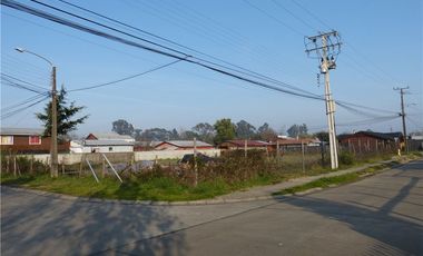 SE VENDE TERRENO, VILLA LOS ROBLES, LABRANZA