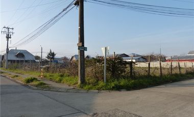 SE VENDE TERRENO, VILLA LOS ROBLES, LABRANZA