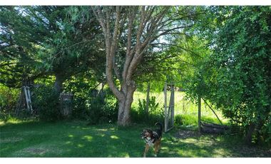 Exclusiva casa en CHACRA SANTA AURELIA - Melipilla