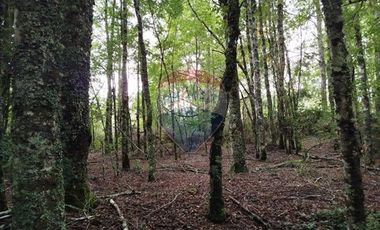 Parcelas en venta Pucón Villarrica