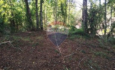 Parcelas en venta Pucón Villarrica