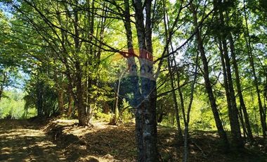 Parcelas en venta Pucón Villarrica