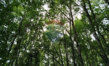 Parcelas en venta Pucón Villarrica