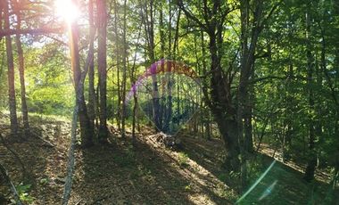 Parcelas en venta Pucón Villarrica