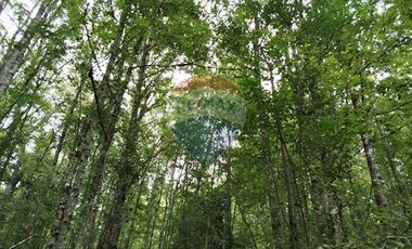 Parcelas en venta Pucón Villarrica