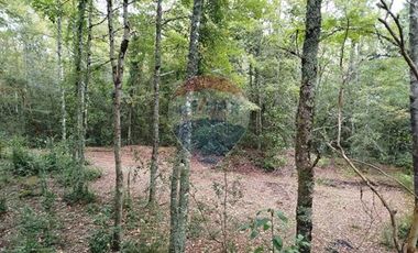 Parcelas en venta Pucón Villarrica