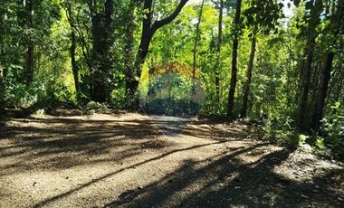 Parcelas en venta Pucón Villarrica