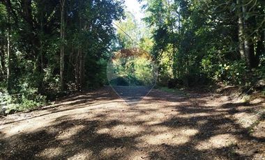 Parcelas en venta Pucón Villarrica