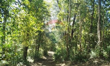 Parcelas en venta Pucón Villarrica