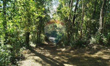 Parcelas en venta Pucón Villarrica