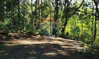 Parcelas en venta Pucón Villarrica