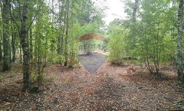 Parcelas en venta Pucón Villarrica